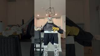For honor and glory - part 2 #funnydogs #funny #gladiator
