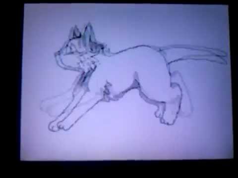 Echo amv/Flipnote