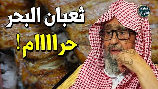 أحب أكل ثعبان البحر و البطريق !! هل اكل البطريق حلال ام حرام ؟! - الشيخ صالح الفوزان