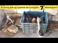 காப்பாற்றிய விலங்குகள் || Seven Animal Moms Saving Their Babies || Tamil Info Share