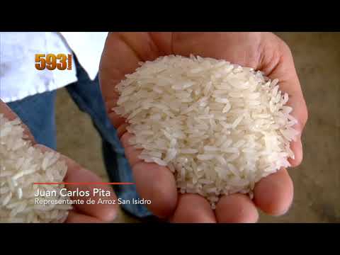 Video: ¿Qué es el descascarado del arroz?