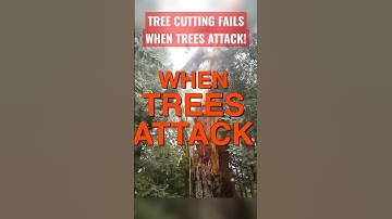 Tree Cutting Fails - When Trees Attack #1
