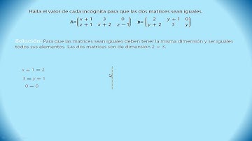Igualdad de matrices