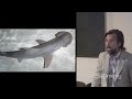 Magnetic sense: sharks do it, can we do it, too? — James Nestor at The Interval