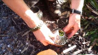 Simple steamer for wild edibles and a healthy tea