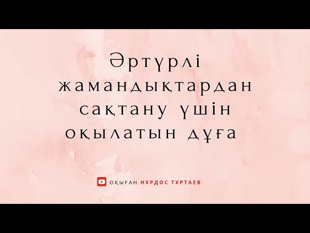 Disli интернет қолданушыларына арналған бейресми эротикалық сайт. Олар мысықты түсіріп жатыр