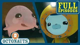 halloween deep sea adventures full episodes 1 hour octonauts