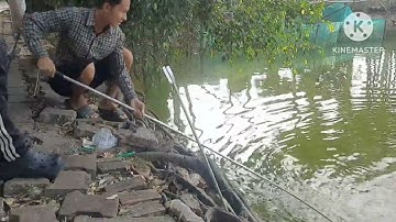 Câu cá chim đầy cảm giác/go piranha fishing