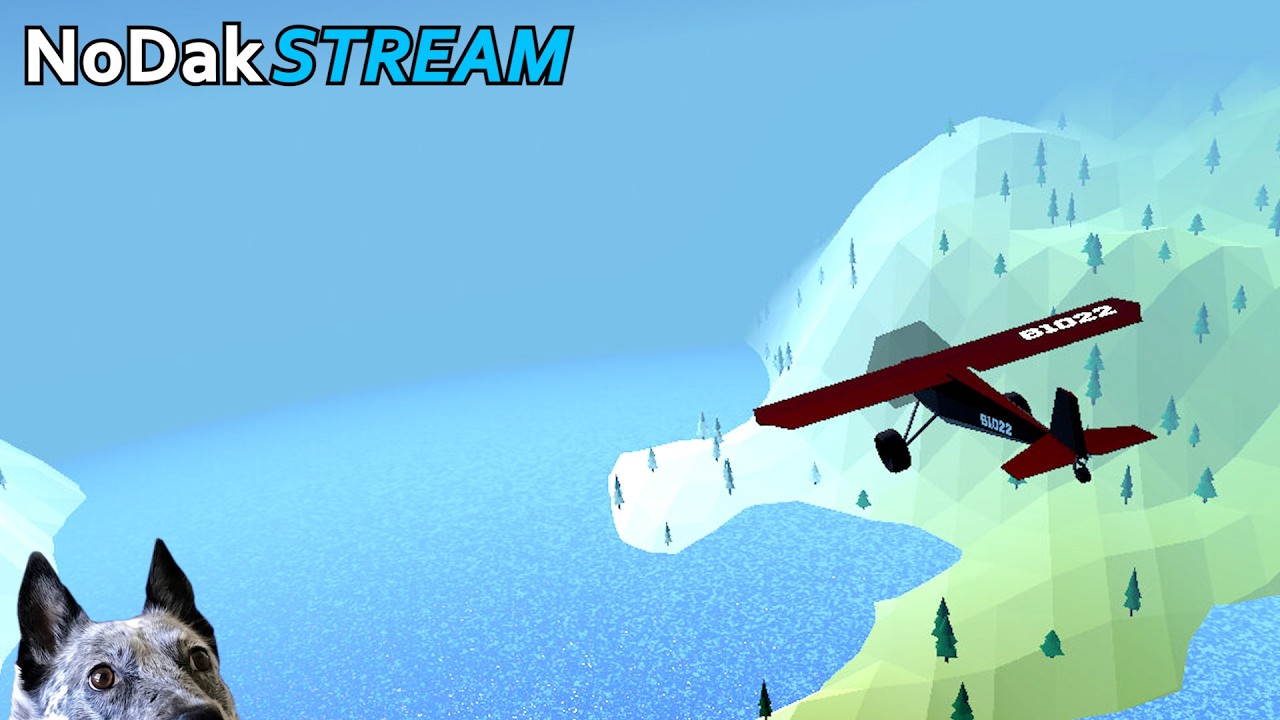 This $5 Flight Sim is Surprisingly Challenging! Real Pilot plays Bush 1022