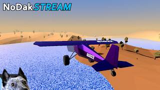 This $5 Flight Sim is Surprisingly Challenging! Real Pilot plays Bush 1022
