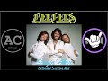 BeeGees Stayin Alive AC PotPot Extended Session Mix