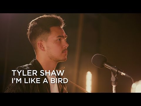 Tyler Shaw | I'm Like a Bird | Junos 365 Sessions