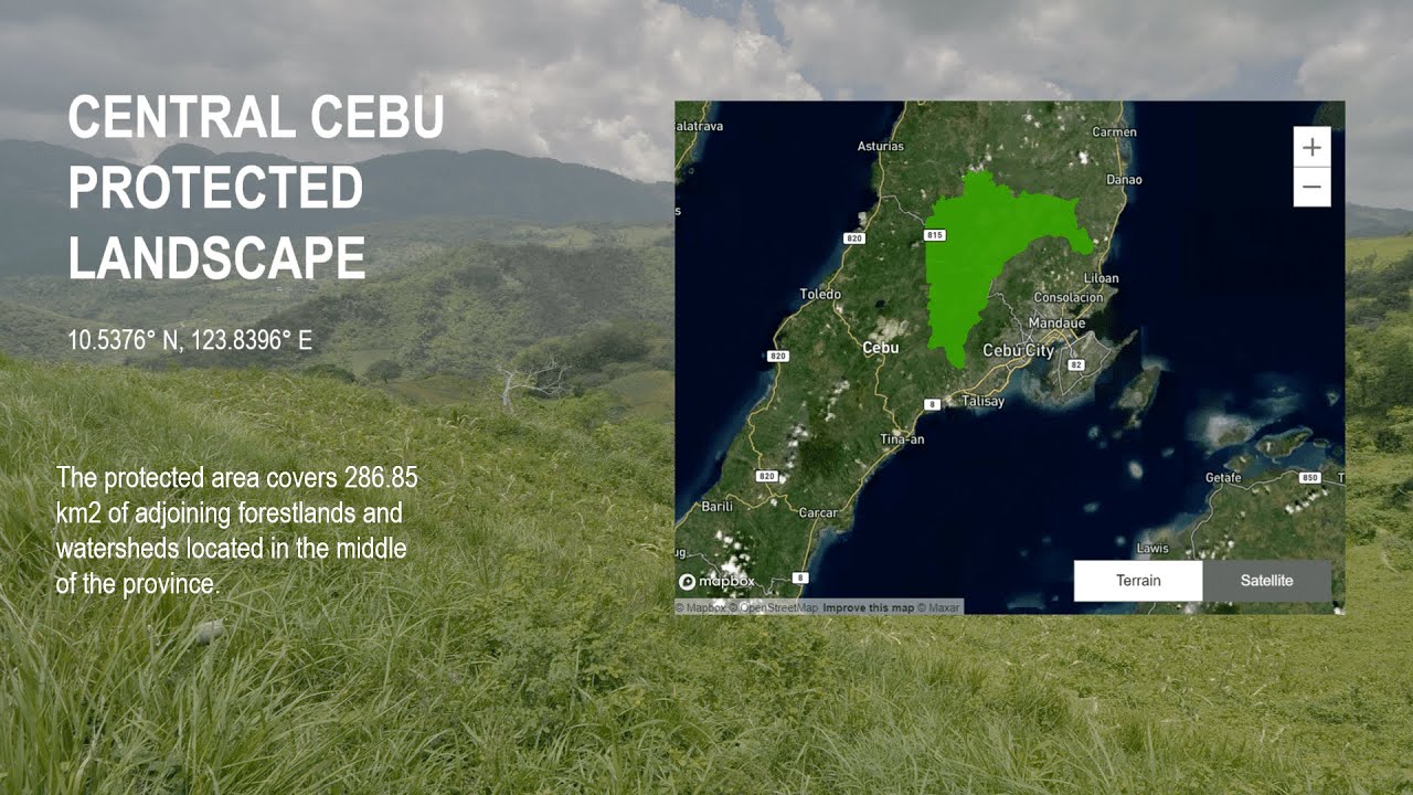 Forest cover loss on Protected Areas in the Philippines: Central Cebu Protected Landscape