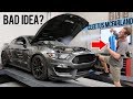 GT350 Dyno with Cleetus McFarland!