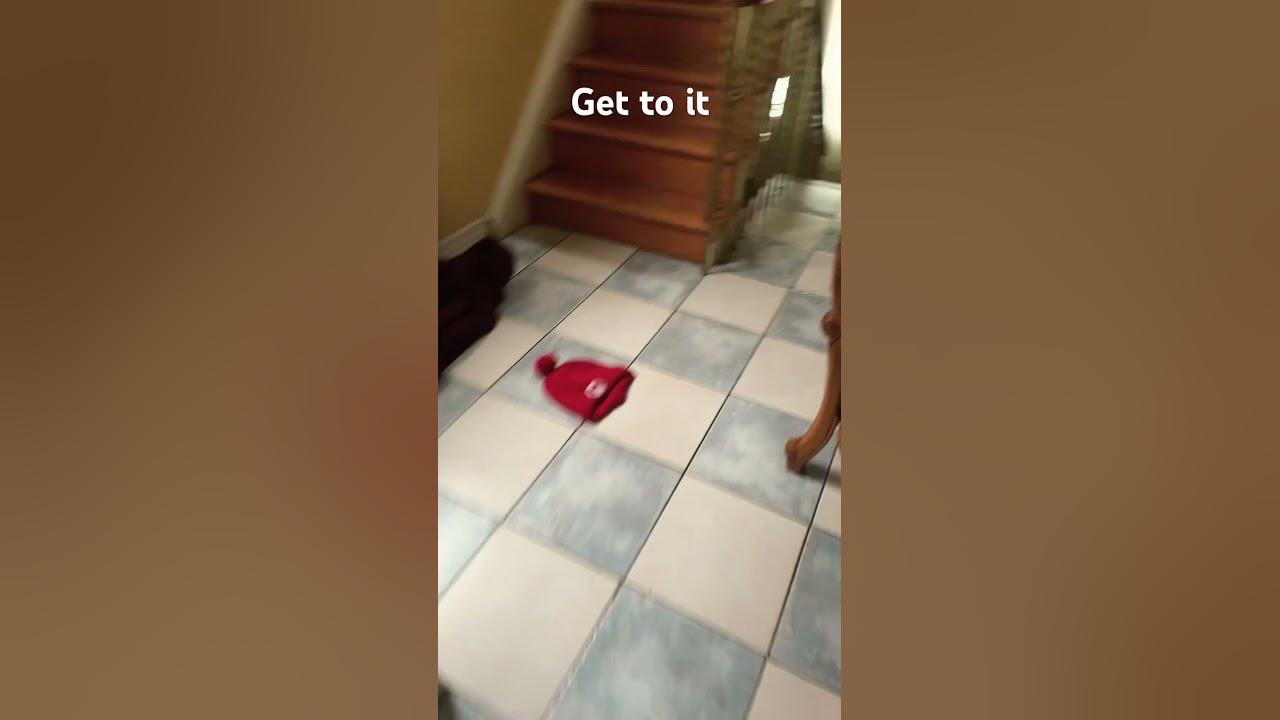 how-to-get-subway-youtube
