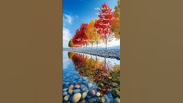 استخدموا الصوت و اذكروا الله #quranforthesoul #qurankareem #القرآن #القارئ #تلاوة_مؤثرة