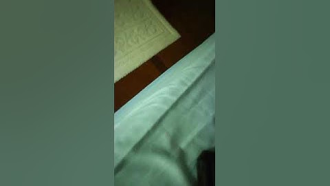 armor 8 black screen problems