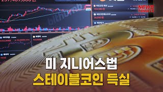 미 지니어스법, 스테이블코인 득실 [말하는 기자들_테크지식산업_0715]