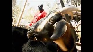 Slipknot - Left Behind (Behind The Scenes) Wealth