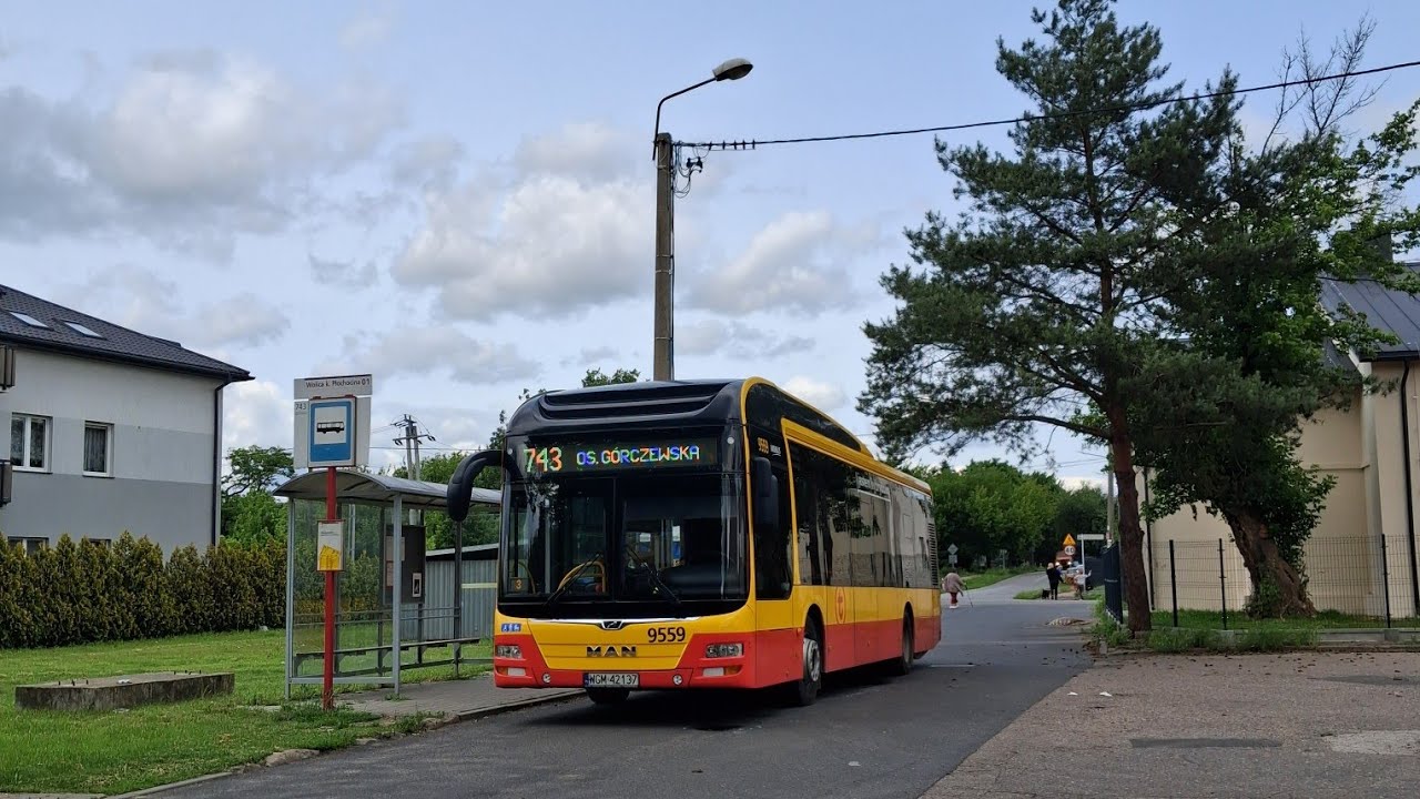 MAN NL253 Lion's City hybrid 