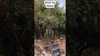 Hazrat Bilal Hazrat Abuzar ka walkya #shots #youtubeshots #qariahmad #letseat #bayan