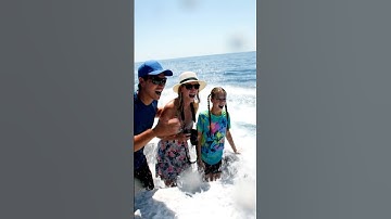 Their Reaction to This Whale is Everything 😂 #reaction