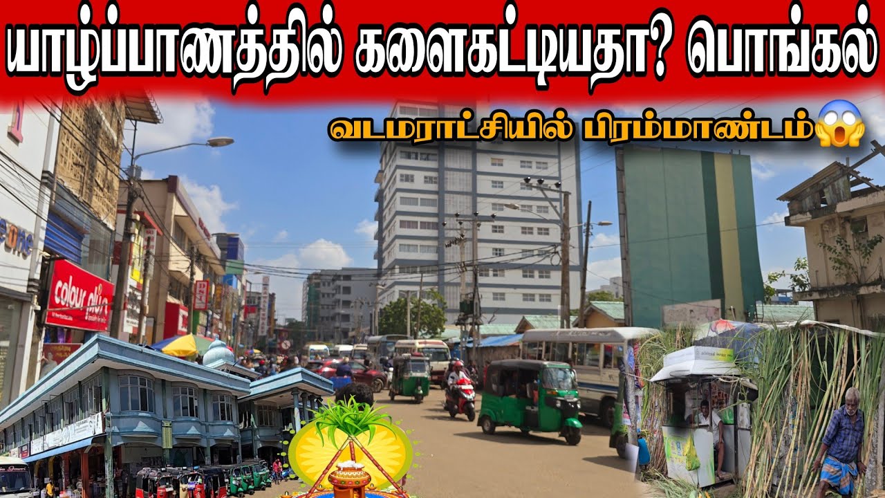 யாழில் களைகட்டியதா? பொங்கல்🧉அலைமோதிய கூட்டம்😱Pongal celebration in jaffna cities😱