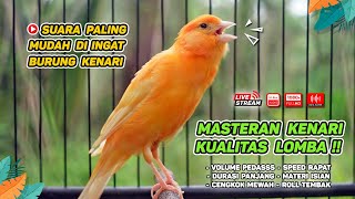 Masteran Kenari PAUD & Pancingan Kenari MACET BUNYI‼️ Terapi AMPUH Bikin Kenari GACOR (Episode 142)