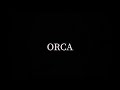 【ORCA】クーラーBoxがカッコいい。