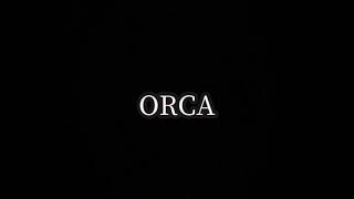 【ORCA】クーラーBoxがカッコいい。