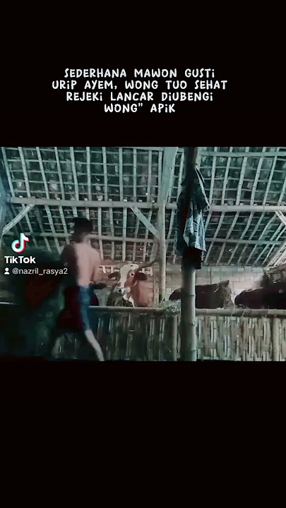 storyy peternak muda#storywa #pengusahamuda #peternaksapiindonesia #viraltiktok