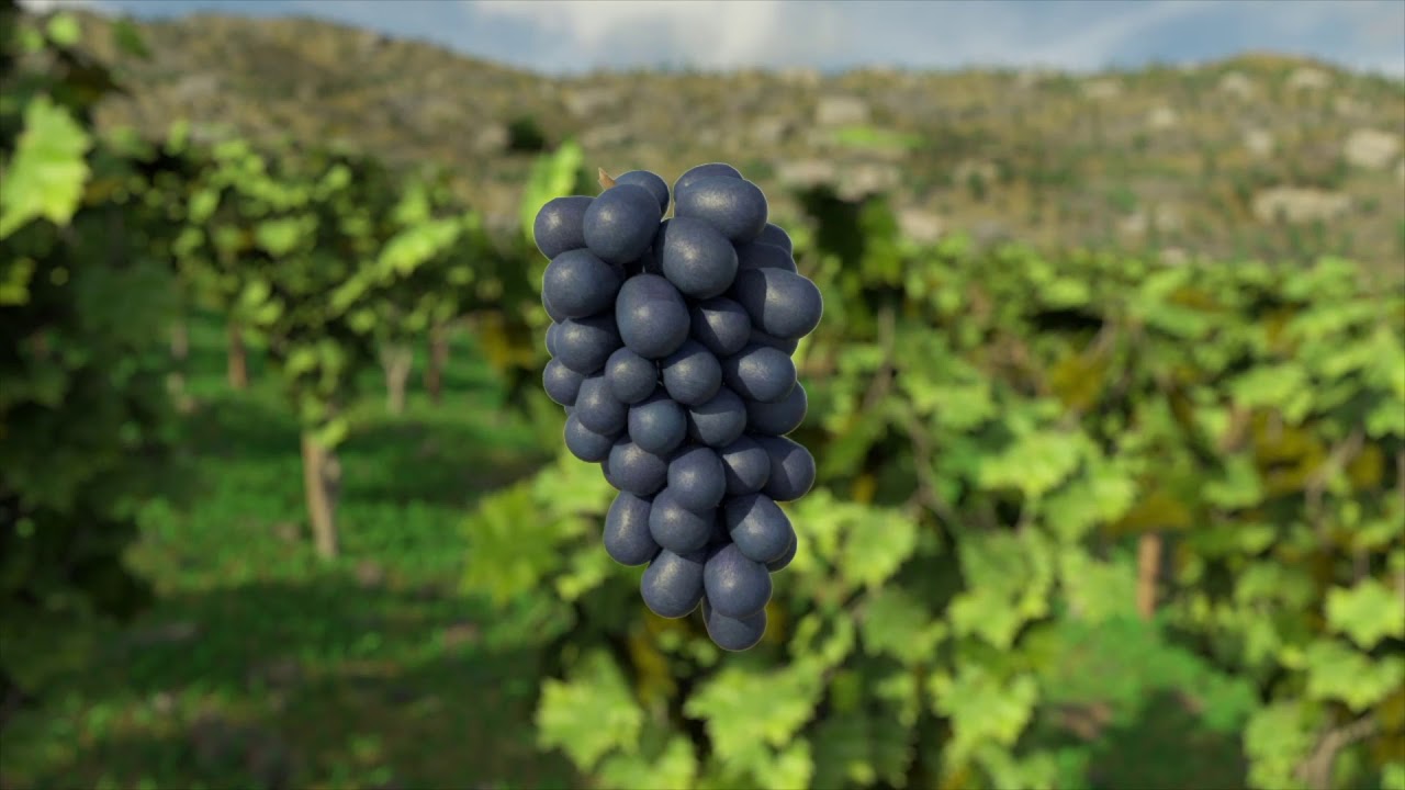 Winery Simulator - Official Trailer