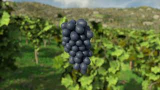 Winery Simulator - Official Trailer