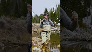 New to Fly Fishing? Here’s Why The Fish Aren’t Biting