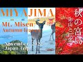 [Miyajima Island Guide⛩ Nov. 2022] Mt. Misen, Autumn leaves, Shrine, Deer, Night | JAPAN TRIP 宮島