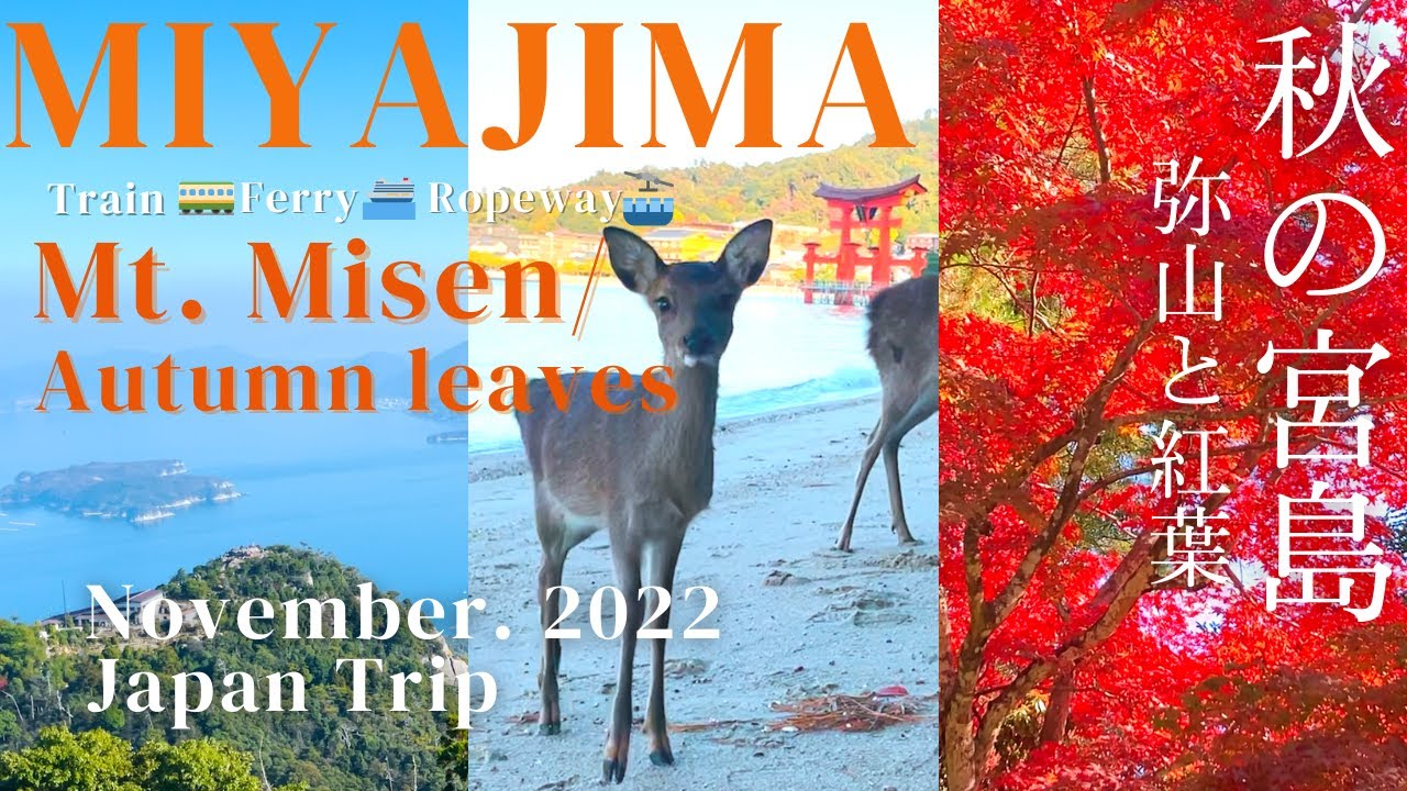 Miyajima Island Guide Nov 2022 Mt Misen feuilles dautomne sanctuaire cerf nuit  JAPON