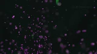 Düşünüyorum, Öyleyse Varım Yapay Zekâ Düşünür Mü?
