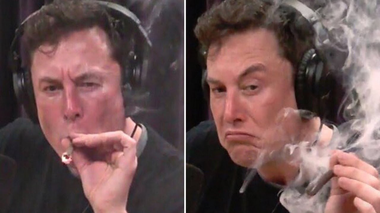 elon musk, meme review, smokes, weed, review, memes.