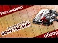 Виниловая наклейка на Sony Playstation 4 Slim с Aliexpress