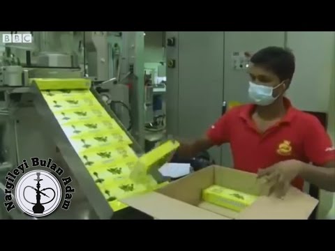 Nargile tütünü nasıl üretilir ? Al Fakher Tütün Fabrikası