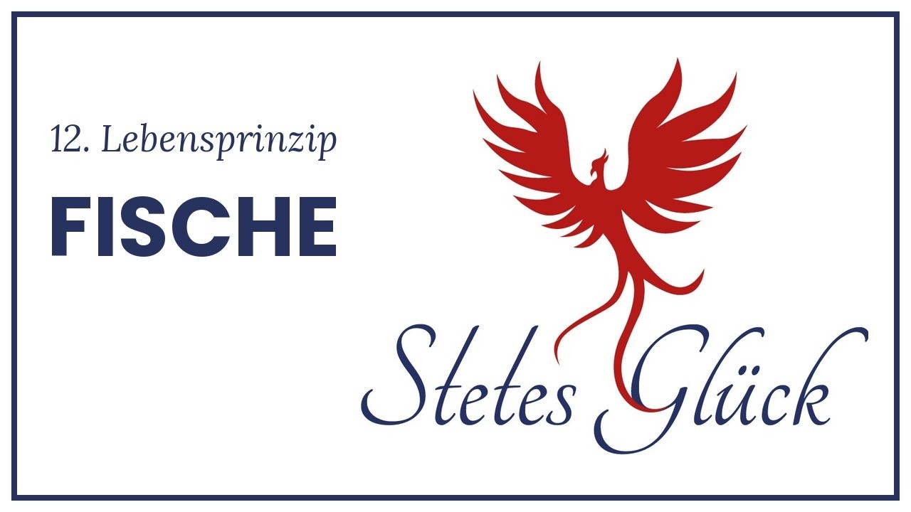 12. Lebensprinzip – Fische