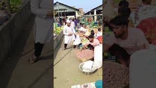 Download Lagu Wat is dit? MP3