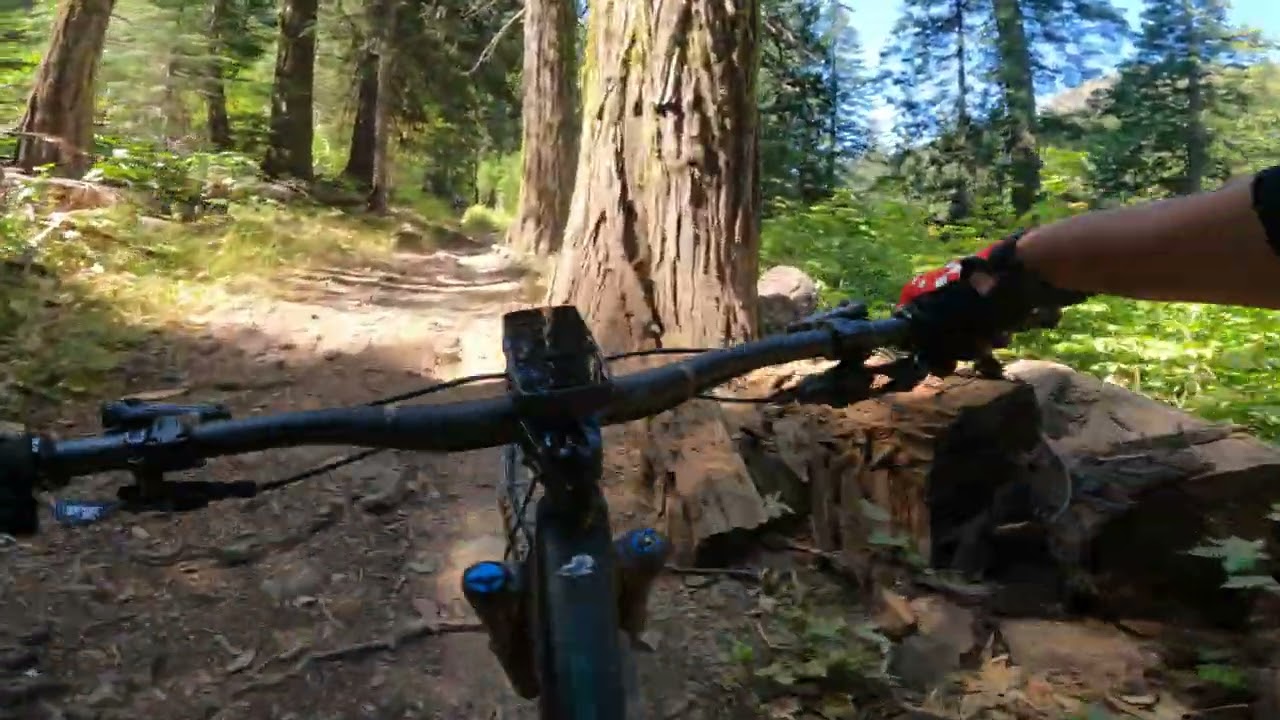 Downieville 2025 - Middle of Butcher Ranch Trail