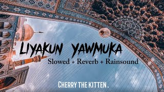 LIYAKUN YAWMUKA [ Slowed + Reverb + Rain sound ] #cherrythekitten by Cherry the kitten.  321 views 6 months ago 2 minutes, 48 seconds