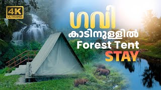 Stay in KFDC tent in Gavi forest | Kochu Pampa Forest Tent Stay |