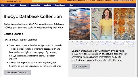 Introduction to BioCyc - Part 1 - BioCyc Overview (2016)