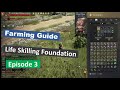 BDO - Life Skilling Foundations - In Depth Farming Guide