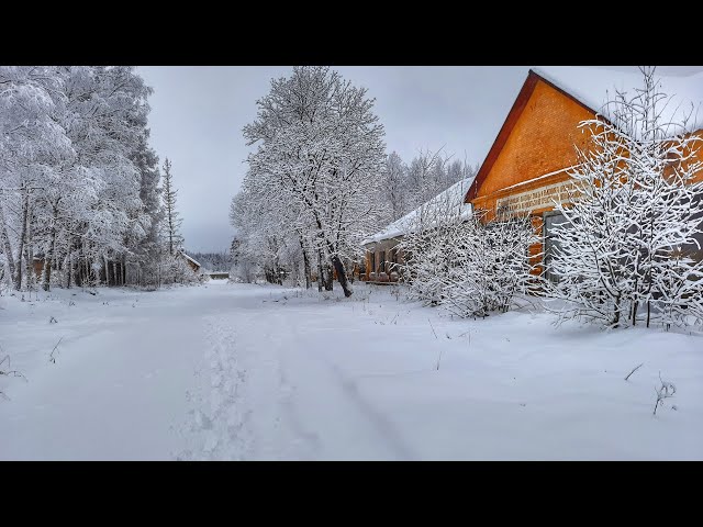 Зимняя Сказка На Новый Год Штефани Дале