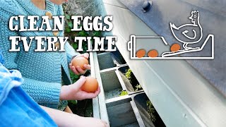 THE EGG DRAWER  Building Roll Away Nest Boxes