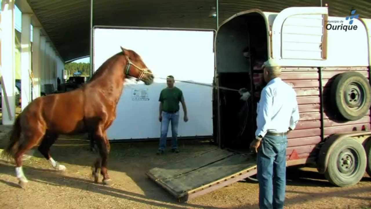 Feira de Garvão 2014 | VÍDEO OFICIAL
